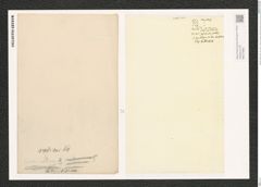 Synedra radians Kuetz. (de-Toni-Nr.: Genus 66, Species 2592) Zeichnungen Sammlung Grunow (NHMW-BOT-W0373665)